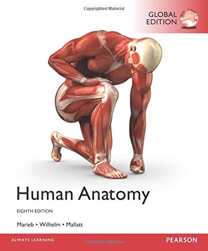 Human Anatomy, Global Edition [Paperback] 8e by Marieb - Smiling Bookstore :-)