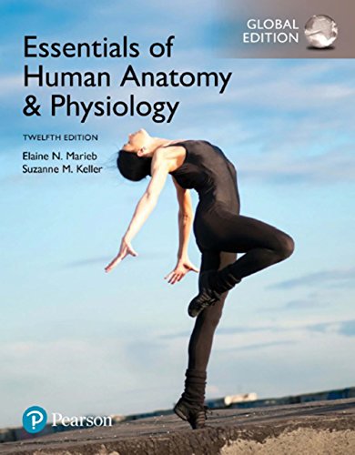Essentials of Human Anatomy & Physiology [Paperback] 12e by Marieb - Smiling Bookstore