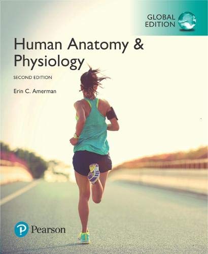 Human Anatomy & Physiology [Paperback] 2e by Erin Amerman - Smiling Bookstore