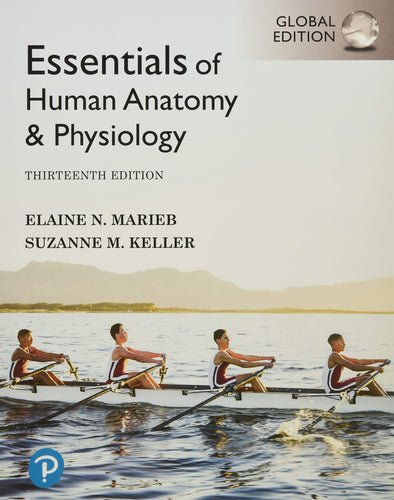 Essentials of Human Anatomy & Physiology [Paperback] 13e by Elaine Marieb